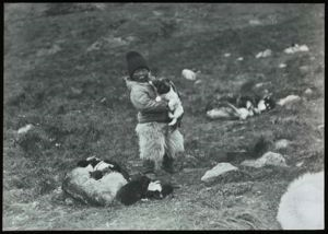 Image of Eskimo [Inuk] Boy Holding Pup, Other Dogs Near